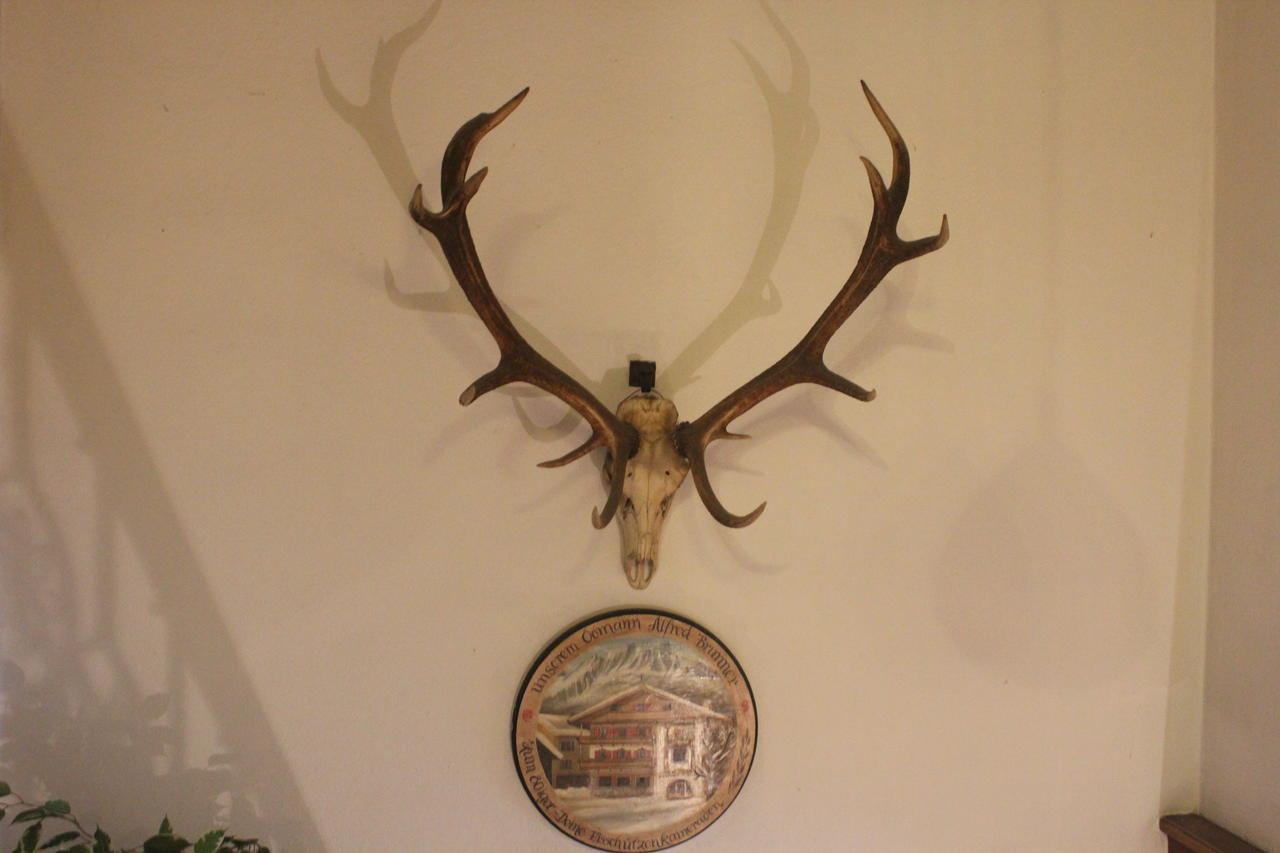 Gasthof Mauth Hotel Sankt Johann in Tirol Kültér fotó